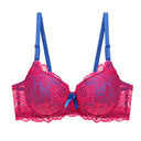 BCHRAYIUP Women's Sexy Lace Underwire Bra Lightly Padded Plunge Push up Cup Everyday Bra 34 36 38 40 42 44 A B C